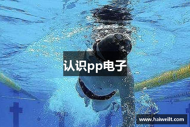 认识pp电子